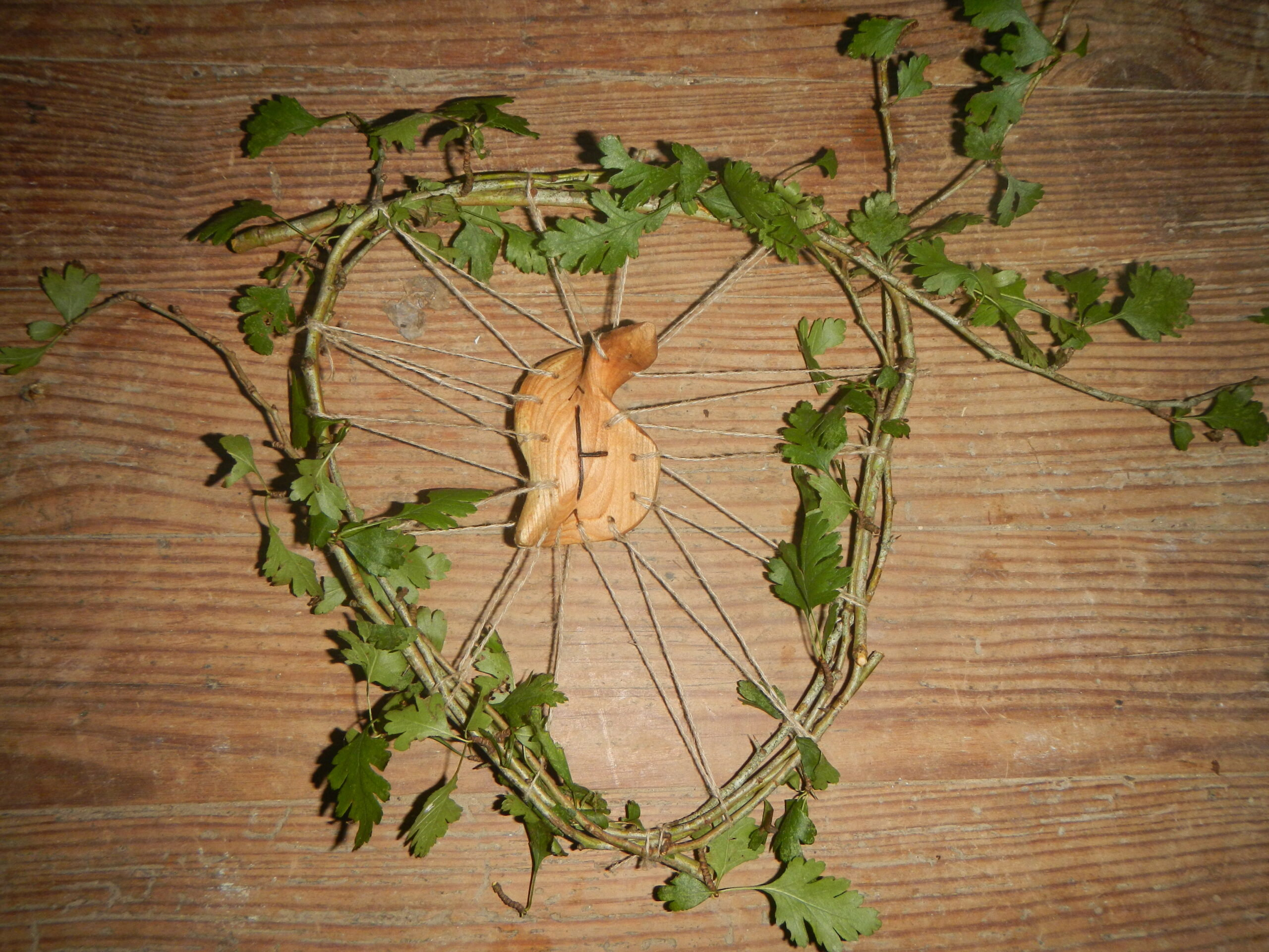 QUENTIN LUTIN DSCN1492