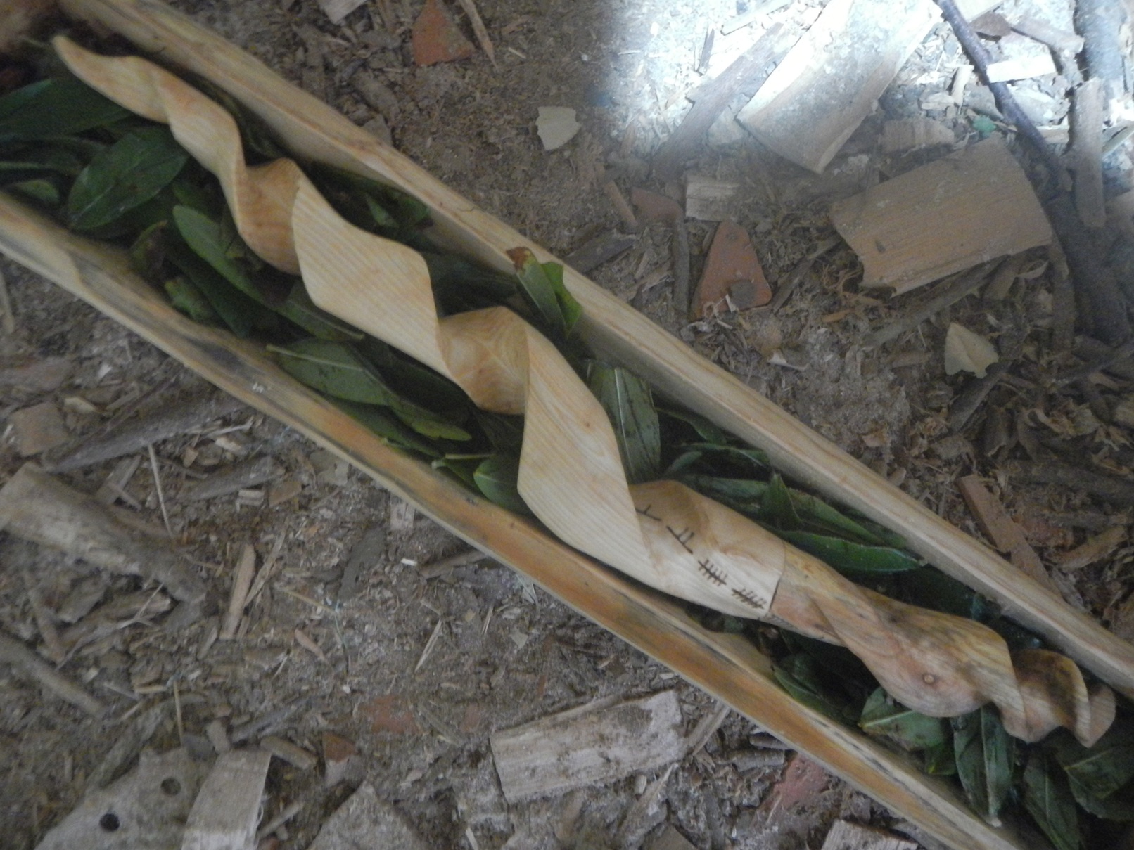 QUENTIN LUTIN reduit